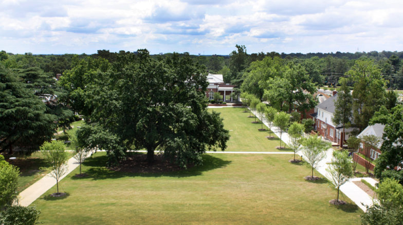 Surface 678 - Cook Quad Renovation