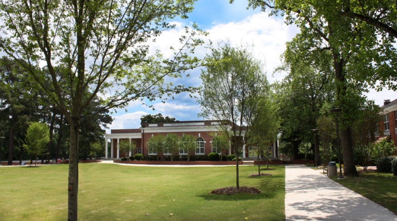 Surface 678 - Cook Quad Renovation