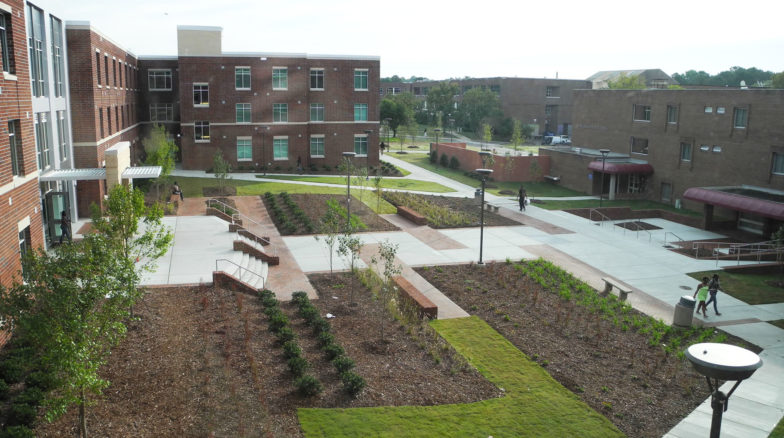 Surface 678 - Renaissance Hall