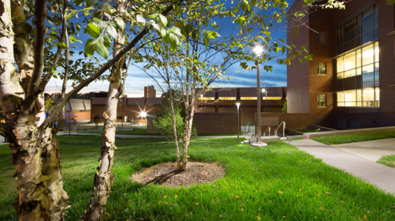 Surface 678 - School of Nursing