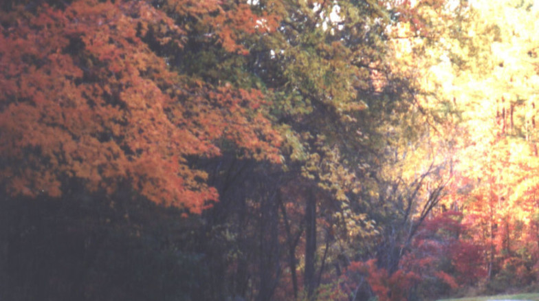 Surface 678 - Chapel Hill Greenways Master Plan