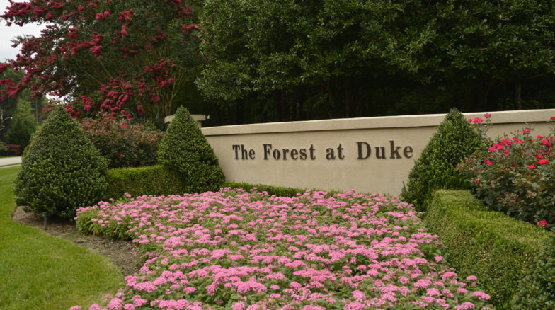 Surface 678 - The Forest at Duke