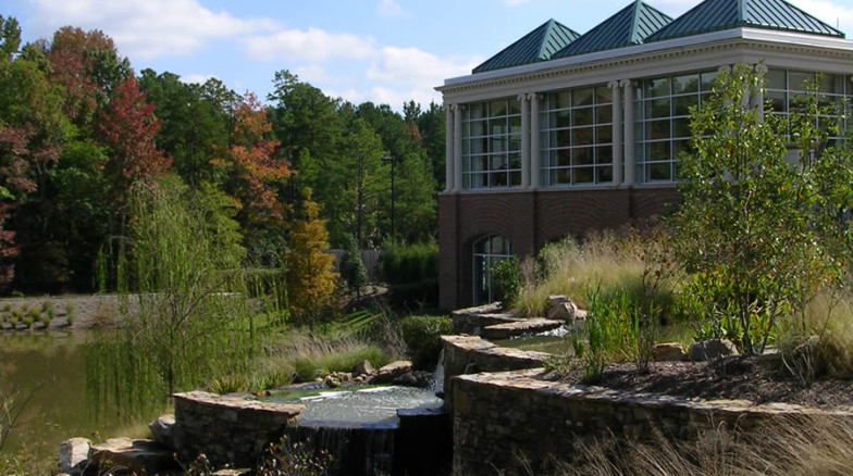 Surface 678 - The Cedars of Chapel Hill