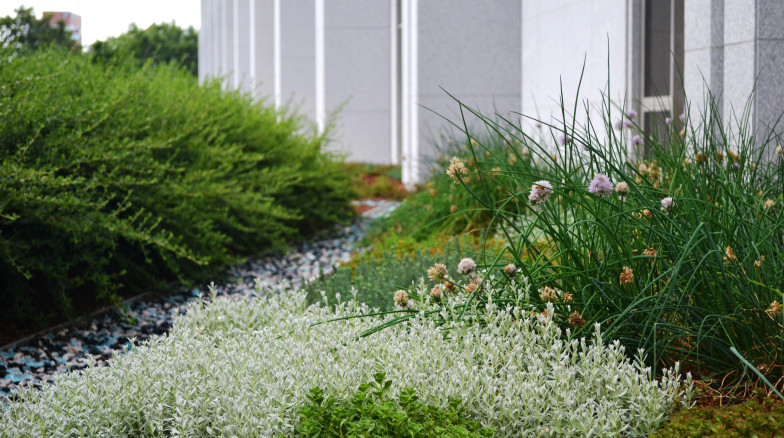 Surface 678 - North Carolina Archives Building