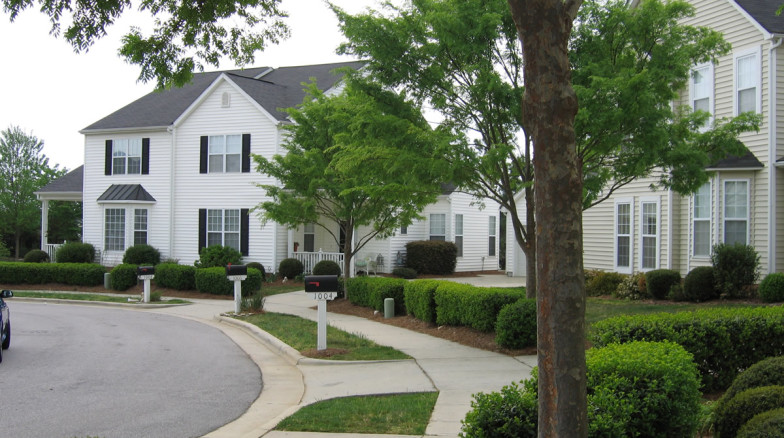Surface 678 - Dogwood Ridge