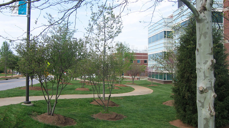 Surface 678 - Biotechnology Crescent Master Plan