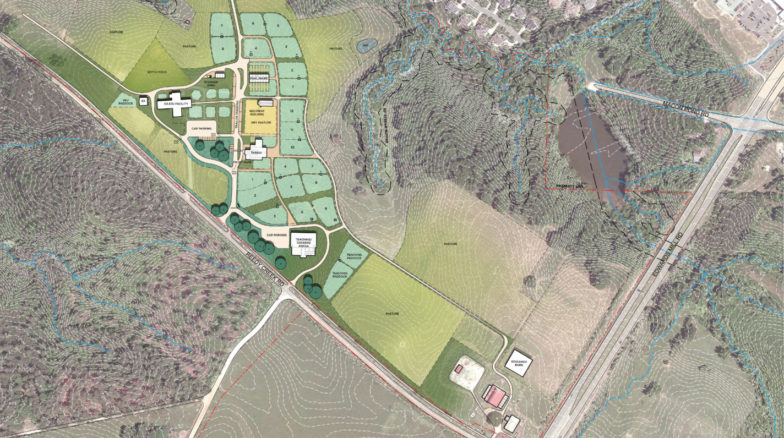 Surface 678 - Reedy Creek Equine Facility Feasibility Study