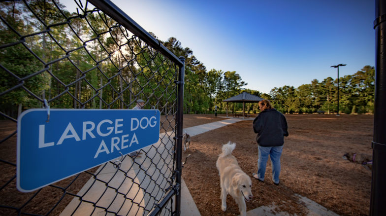 Surface 678 - Jack Smith Park