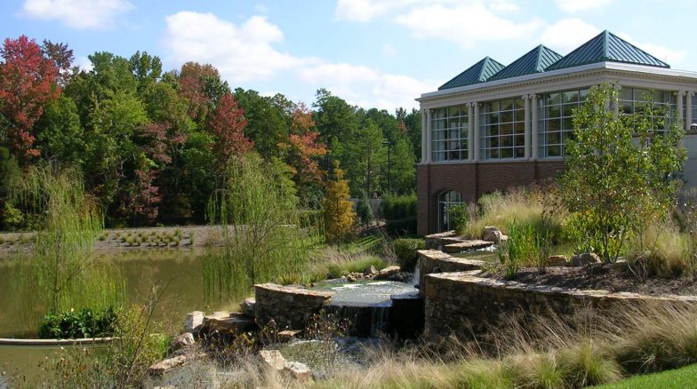 Surface 678 - The Cedars of Chapel Hill