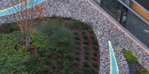 Duke Medicine Pavilion Courtyard