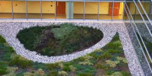 Duke Medicine Pavilion Courtyard
