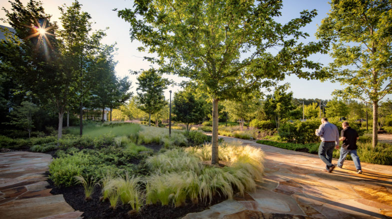 Surface 678 - Confidential Research Triangle Park (RTP) Financial Services Company