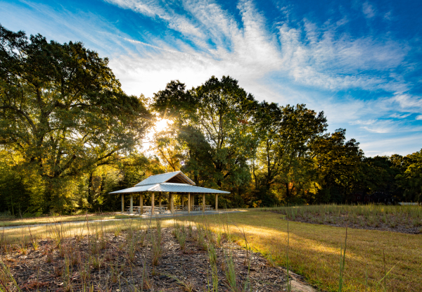Surface 678 - Horseshoe Farm Nature Preserve