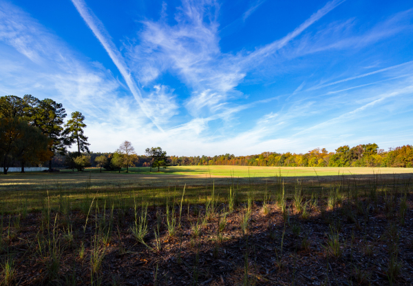 Surface 678 - Horseshoe Farm Nature Preserve