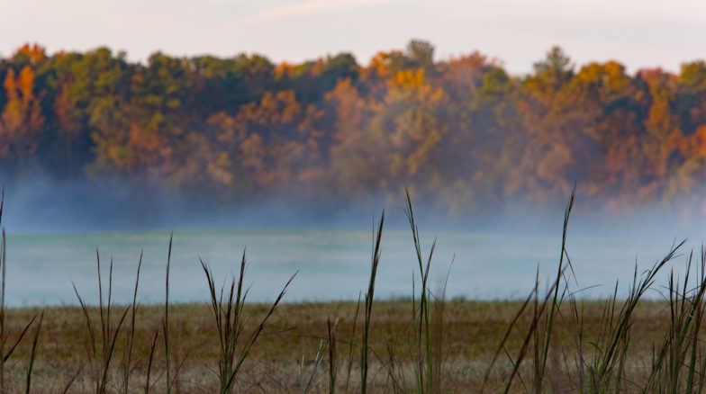Surface 678 - Horseshoe Farm Nature Preserve