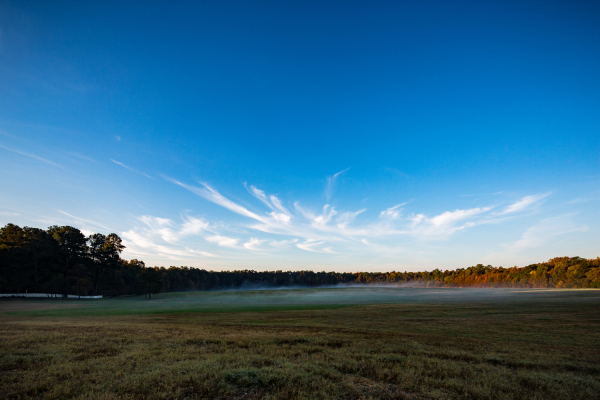 Surface 678 - Horseshoe Farm Nature Preserve