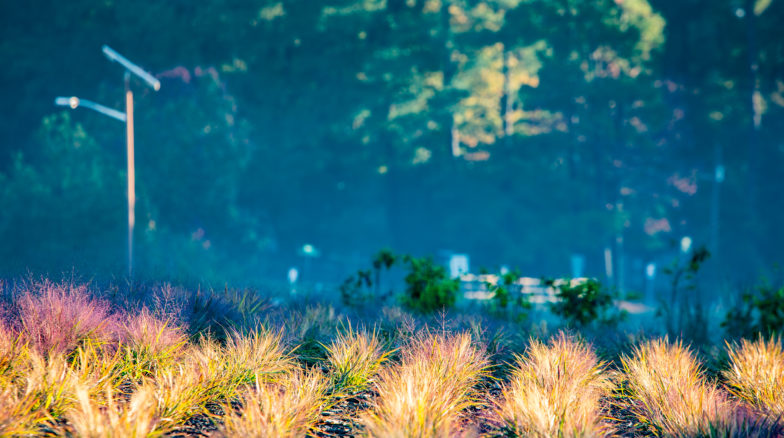 Surface 678 - Horseshoe Farm Nature Preserve
