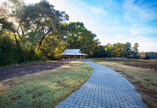 Surface 678 - Horseshoe Farm Nature Preserve