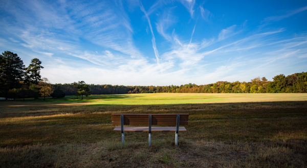 Surface 678 - Horseshoe Farm Nature Preserve