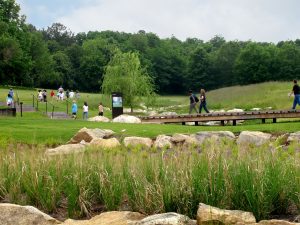 NC Museum of Art Stormwater Pond