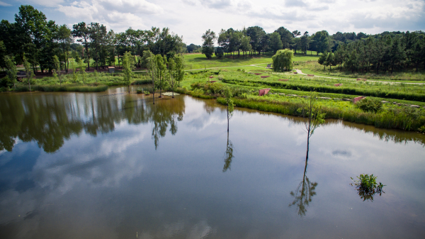 Surface 678 - North Carolina Museum of Art Pond