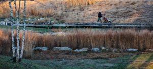 NC Museum of Art Stormwater Pond