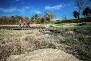 NC Museum of Art Stormwater Pond
