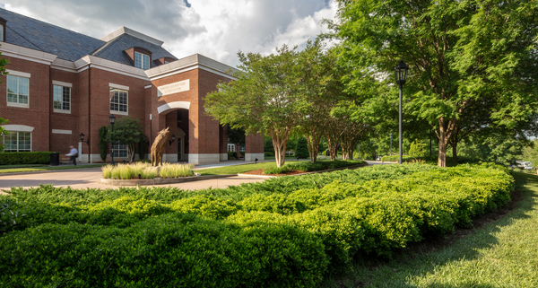 Surface 678 - Alumni Center