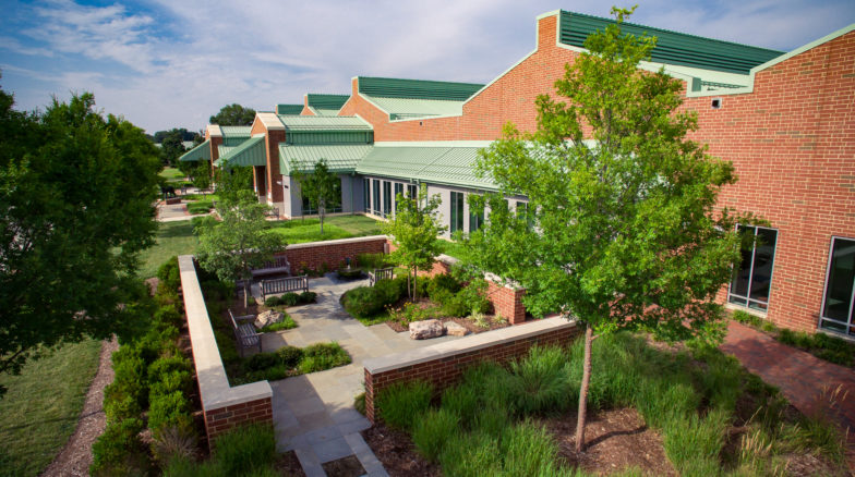 Surface 678 - The Randall B. Terry, Jr. Companion Animal Veterinary Medical Center