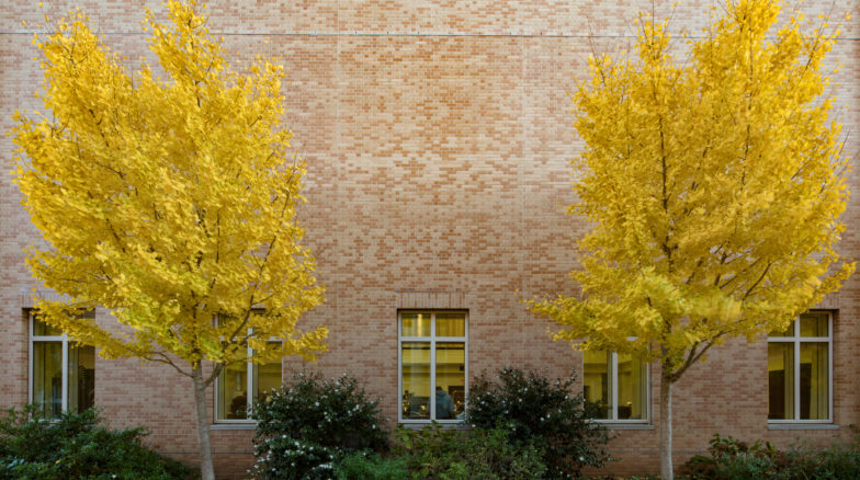 Surface 678 - Kenan Music Building