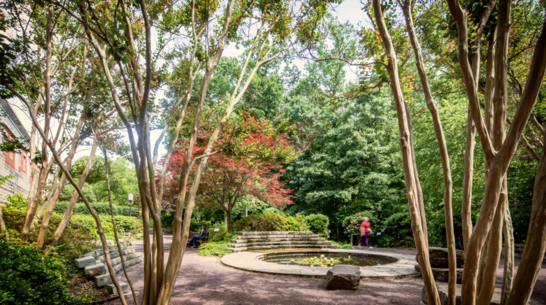 Surface 678 - Elizabeth Herring Garden