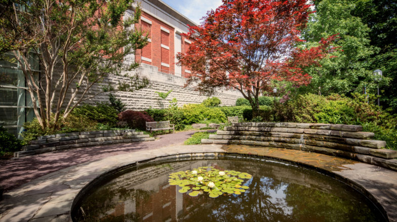 Surface 678 - Elizabeth Herring Garden