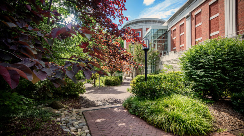 Surface 678 - Elizabeth Herring Garden