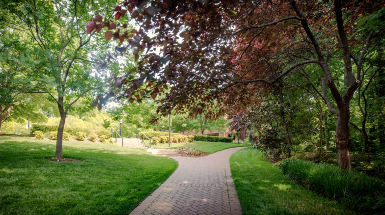 Surface 678 - Elizabeth Herring Garden