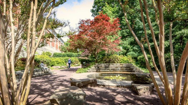 Surface 678 - Elizabeth Herring Garden