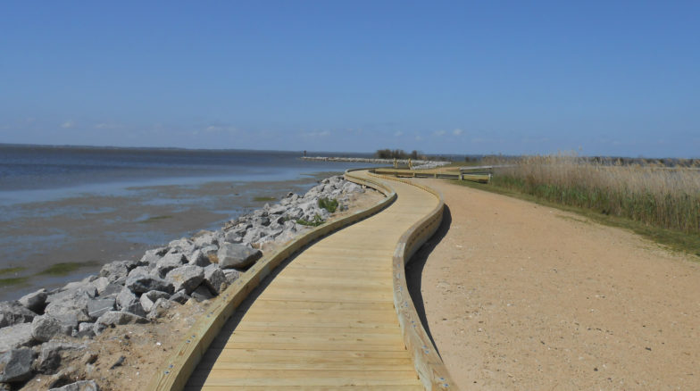Surface 678 - Heritage Park at Whalehead Club