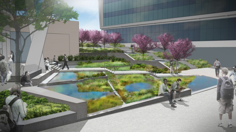 Surface 678 - Engineering Building Oval
