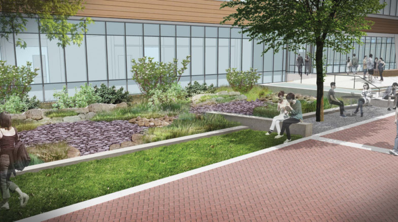 Surface 678 - Engineering Building Oval