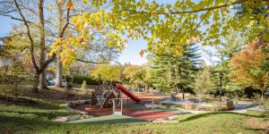 Asheville Playground Renovation