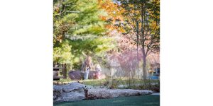 Asheville Playground Renovation