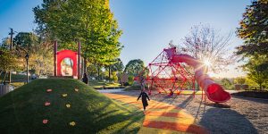 Asheville Playground Renovations