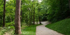 Bolin Creek Greenway Phase III