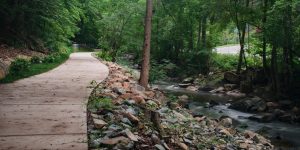 Bolin Creek Greenway Phase III