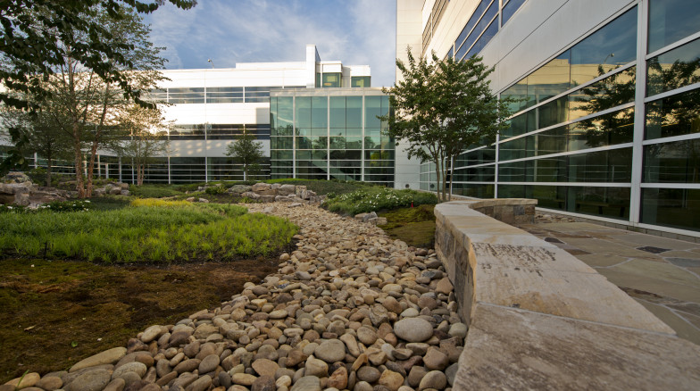 Surface 678 - Confidential Research Triangle Park (RTP) Financial Services Company