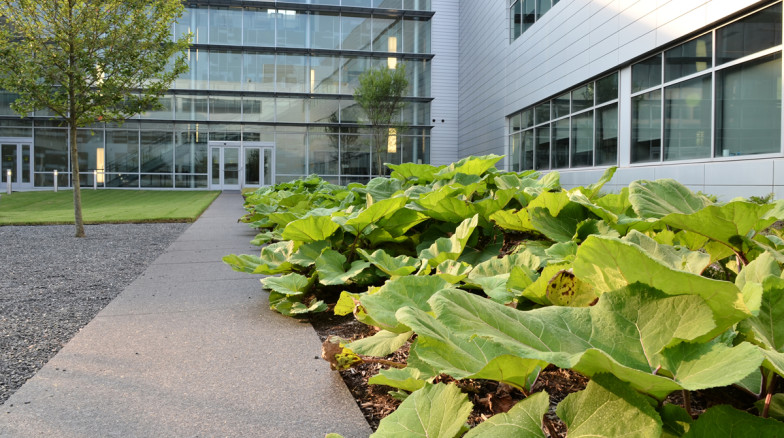Surface 678 - Durham County Human Services Complex