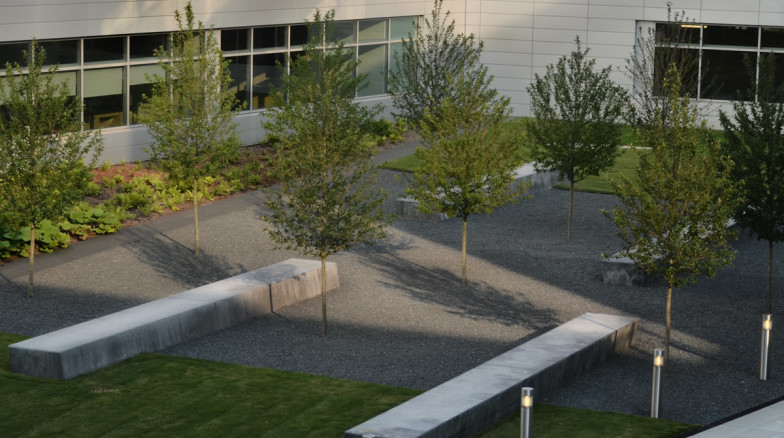 Surface 678 - Durham County Human Services Complex