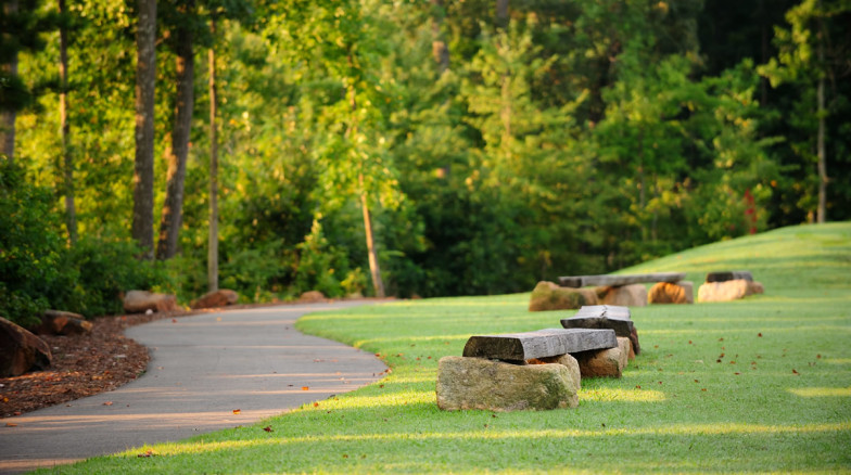 Surface 678 - Mary Hayes Barber Holmes Park