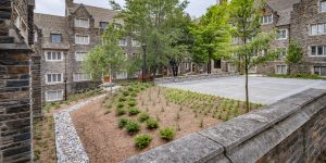 Duke West Campus Residential Quad Renovation