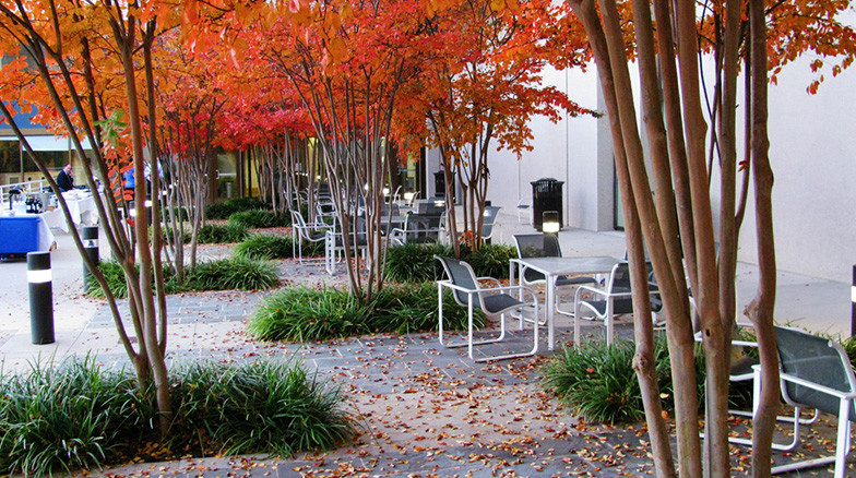 Surface 678 - Fuqua School of Business