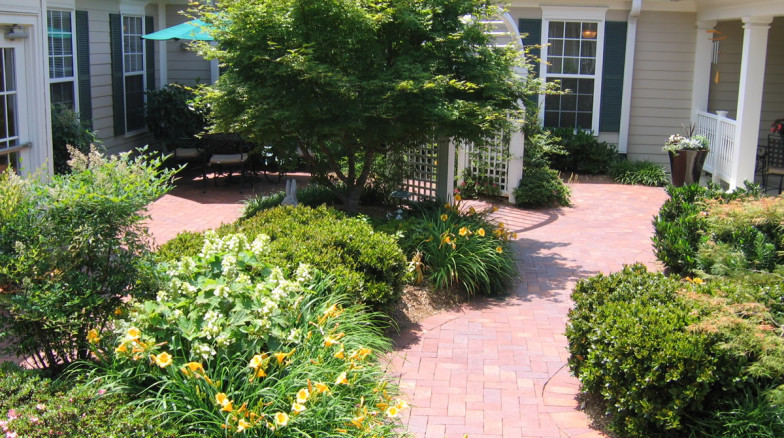 Surface 678 - The Cedars of Chapel Hill